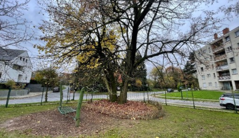 Woluwe1150_Projet Carbone - paillage